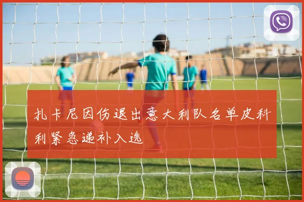 扎卡尼因伤退出意大利队名单皮科利紧急递补入选