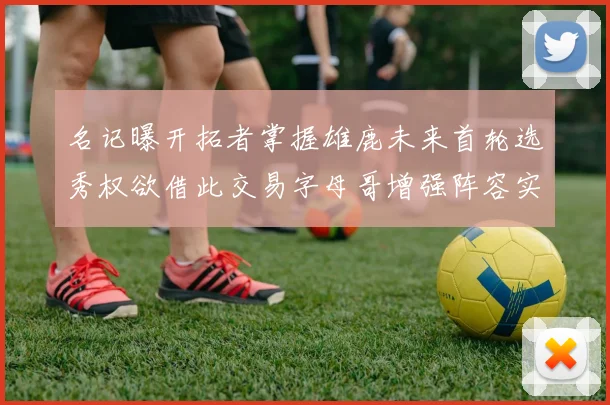 名记曝开拓者掌握雄鹿未来首轮选秀权欲借此交易字母哥增强阵容实力