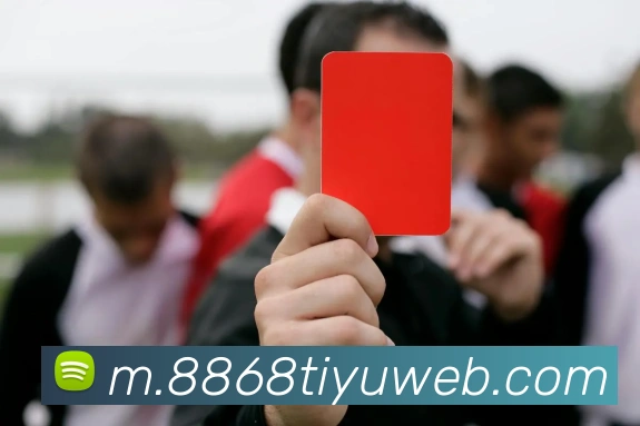 8868体育平台生态图