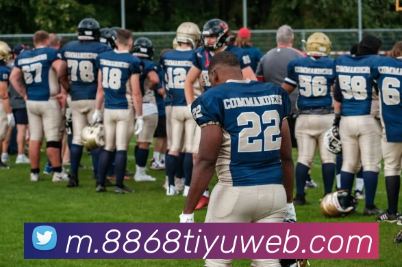 8868体育APP 封面图